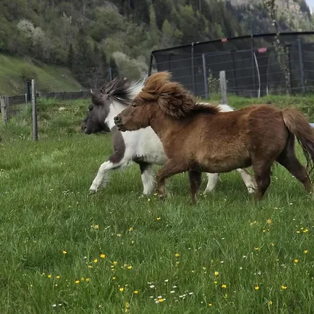 Appartamento Ritterhof Apartements *