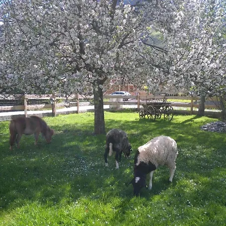 Ritterhof Apartements Appartamento