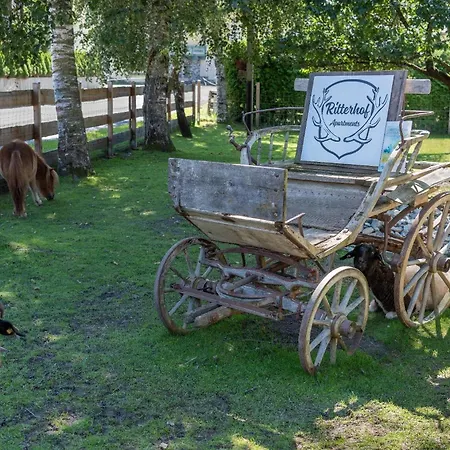 Ritterhof Apartements *