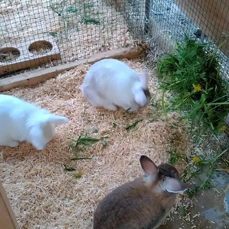 Ritterhof Apartements Rauris