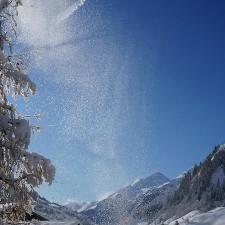 Ritterhof Apartment Inkl Hohe Tauern Sommercard Rauris