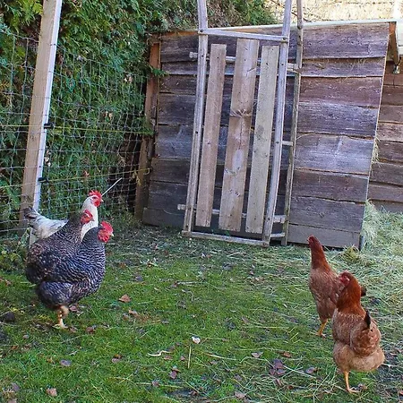 Apartman Ritterhof Apartements