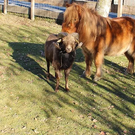 Apartman Ritterhof Apartements *