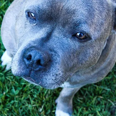 Apartman Ritterhof Apartements *