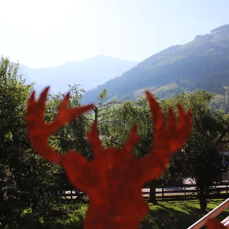 Apartman Ritterhof Apartment Inkl Hohe Tauern Sommercard