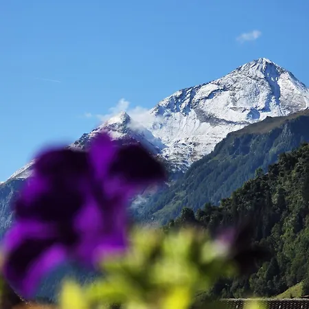 Apartman Ritterhof Apartment Inkl Hohe Tauern Sommercard Rauris