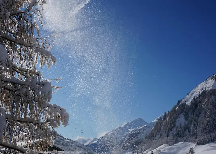 Ritterhof Apartements Rauris