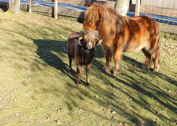 Appartement Ritterhof Apartements *